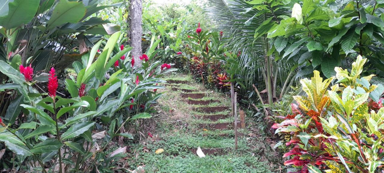 La Mariola - Finca Agroecologica El Castillo de La Concepción Exterior foto